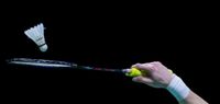 BWF Phê Duyệt Giải Đấu Khép Kín, Thêm Điểm Xếp Hạng